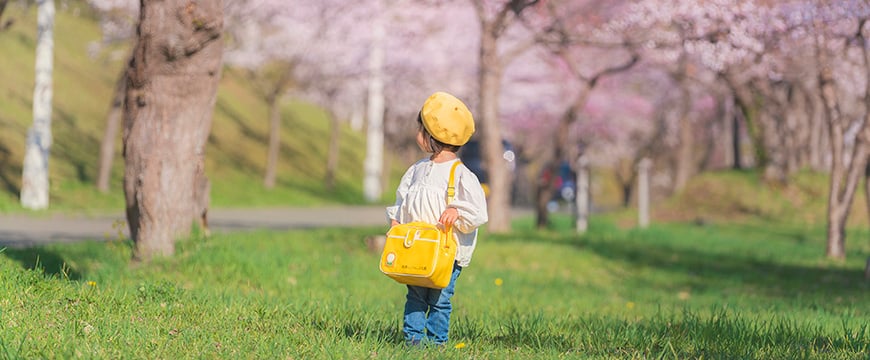 入園の流れ 入園の流れ
